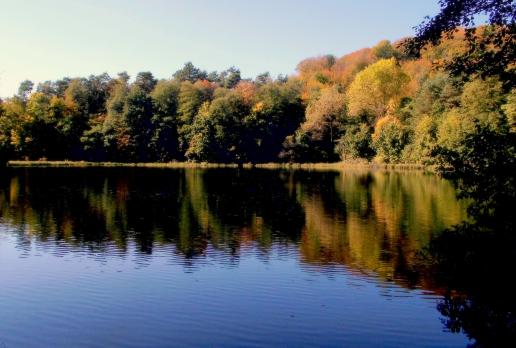 , Magdalena