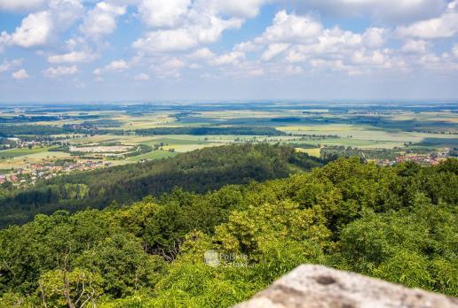 widok z wieży