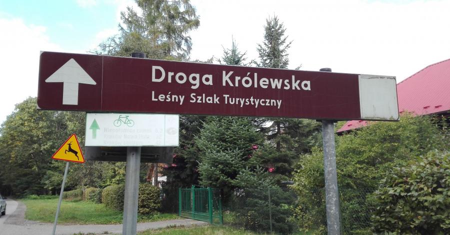 Niepołomice-festyn przy zamku - zdjęcie
