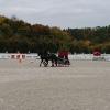 , Mariusz