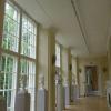Galeria Rzeżby w Starej Pomarańczarni, allie