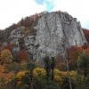 , mirosław