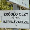 ścieżka, mirosław