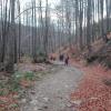 szlak, mirosław