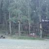 park linowy, mirosław