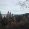 widok, mirosław