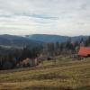 widok, mirosław