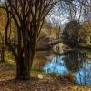 Park w Pszczynie