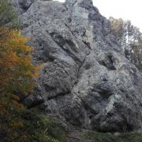 , mirosław