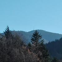 widok, mirosław