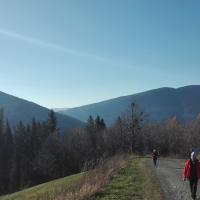 widok, mirosław