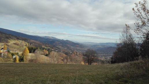 widok, mirosław