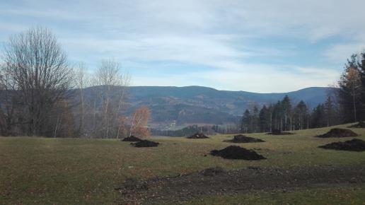 panorama, mirosław