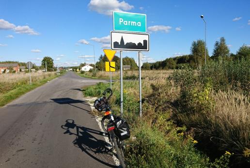 , Mariusz