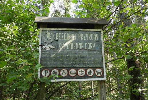 rezerwat Krzemienne Góry, Joanna