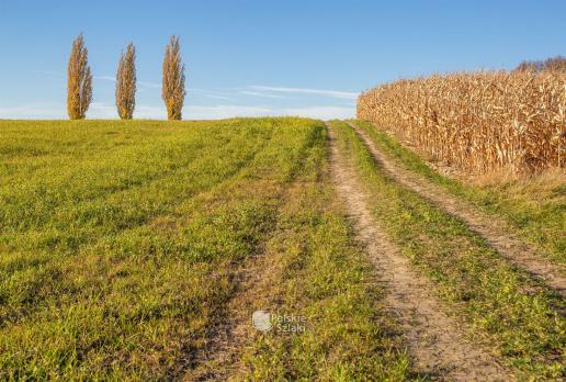 Jak w Toskani, a to Wisła Wielka nad Zalewem Goczałkowickim