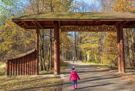 Idziemy do Zagrody Żubrów