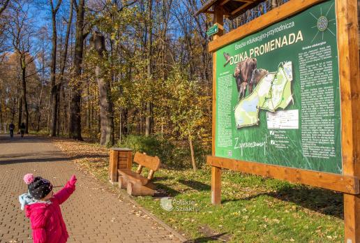 A potem na Dziką Promenadę