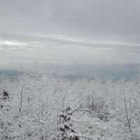 , mirosław
