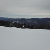 widok, mirosław