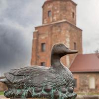 Złota Kaczka