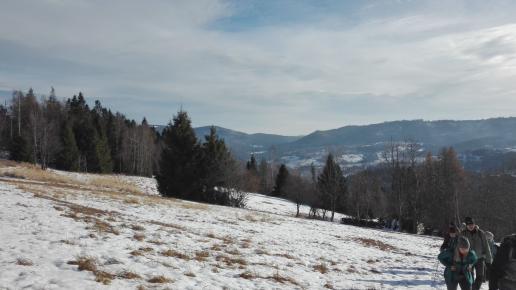 widok, mirosław
