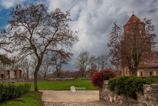 Zamek w Toszku
