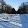 Park Planty - fontanna zimą, Joanna