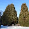 Park Planty, Joanna
