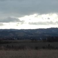 widok, mirosław
