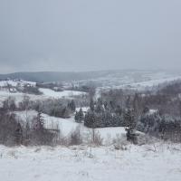 widok, mirosław