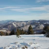 widok, mirosław