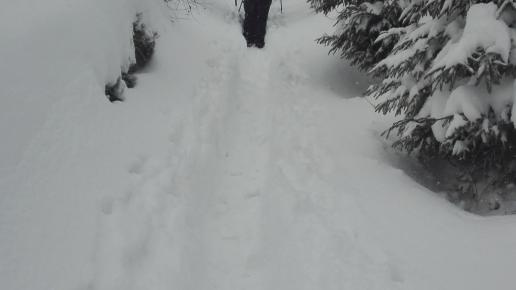 szlak, mirosław