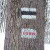 gsbw, mirosław