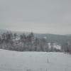widok, mirosław