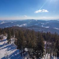 Widok z wieży