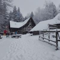 schroniska, mirosław