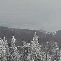 widok, mirosław