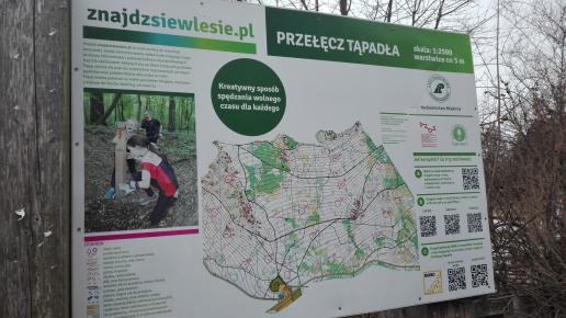 , mirosław