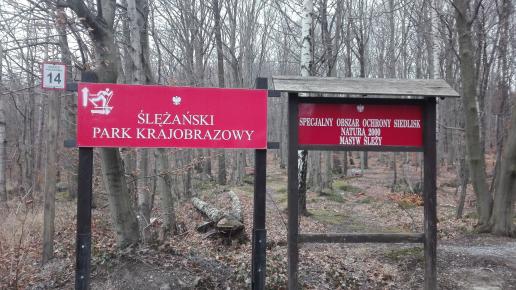 , mirosław