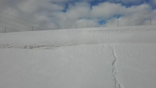 śnieg, mirosław