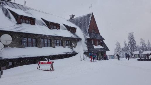 schronisko, mirosław