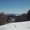 , mirosław