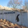 U pingwinów, bez pingwinów :)