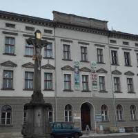 , mirosław