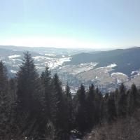 , mirosław