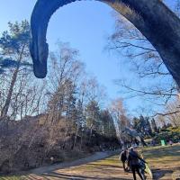 u dinozaurów