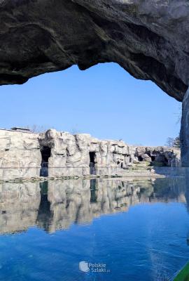 Wybieg pingwinów w śląskim zoo