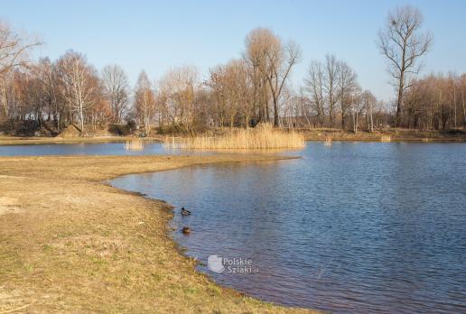 Staw Rzęsa