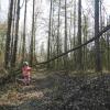 Las Solnicki - przeszkoda na drodze, Joanna